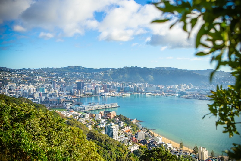 Wellington3-9900000000079e3c